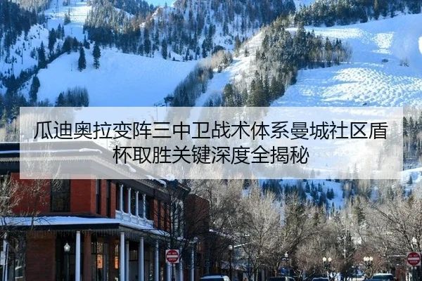 瓜迪奥拉变阵三中卫战术体系曼城社区盾杯取胜关键深度全揭秘