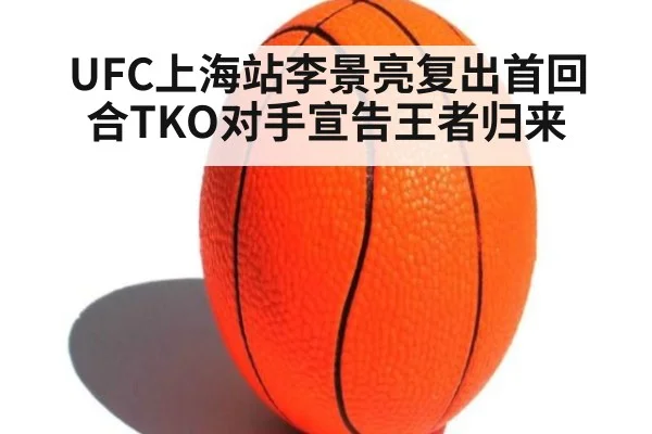 UFC上海站李景亮复出首回合TKO对手宣告王者归来